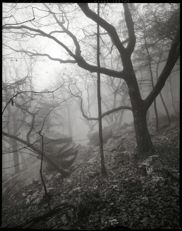 Photo by Bryan Garris