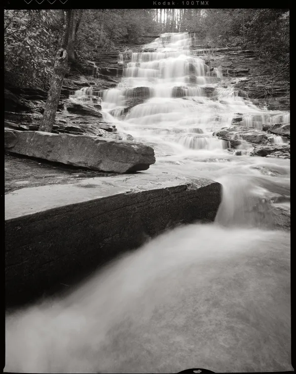 Photo by Bryan Garris