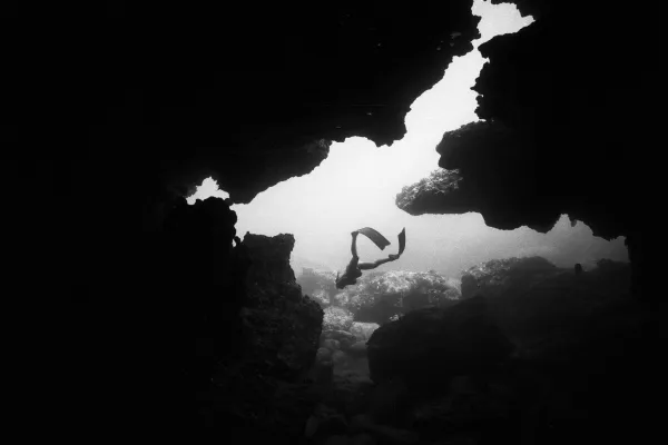 Photo by Katherine Kollman