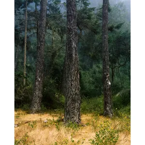 Portra 400