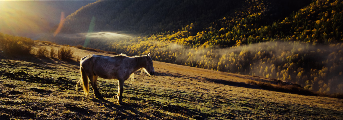 Photo by Zhu Jiayun Ektachrome E100